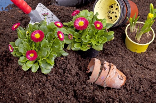 Beautifully landscaped garden in Chessington with vibrant flowers and greenery
