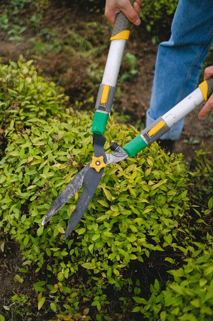 A man wearing glasses, a dark hoodie, and jeans is trimming the grass with a garden lawn mower in a backyard garden. The garden features a stone border, with flowering plants such as white daisies and