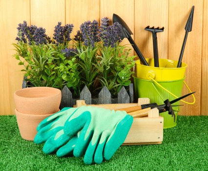 A garden scene featuring three lavender plants with purple flowers and green foliage arranged in black pots, situated on a grassy surface within a landscaped outdoor space. In front of the lavender, there are three empty terracotta pots, a pair of bright turquoise gardening gloves, and a small wooden tray holding a hand rake and a gardening fork. To the right, a yellow plastic bucket contains a pair of hedge shears, a trowel, and a garden fork. The background consists of a wooden fence or paneling, suggesting a well-maintained garden area in Chessington, with natural lighting indicating a clear day. The arrangement highlights suitable outdoor furniture and tools for gardening and hedge maintenance, fitting the services provided by Hedge Trimming Chessington in the area.